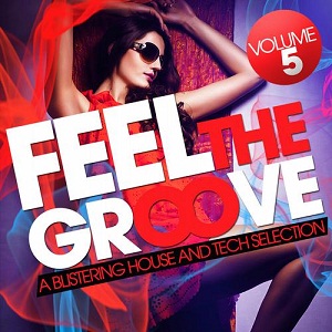 VA - Feel The Groove Vol 5