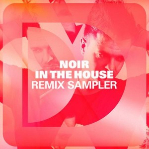 VA  Noir In The House Remix Sampler