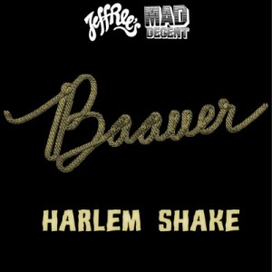 Baauer -  Harlem Shake ( remixes 2013)