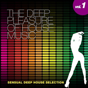 VA - The Deep Pleasure Of House Music Vol.1