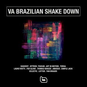 VA - Va Brazilian Shake Down