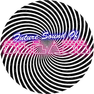 VA - Future Sound Of Sleaze (unmixed tracks)