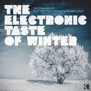 VA - The Electronic Taste Of Winter