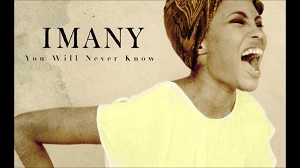 Imany - You Will Never Know remixes