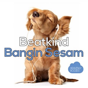 Beatkind  Bangin Sesam (Remixes)