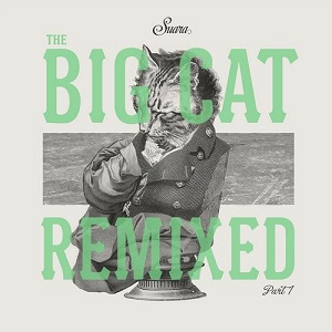 VA - The Big Cat Remixed Part 1