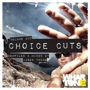 VA - Choice Cuts Vol. 005 Mixed by Jason Young (2014)