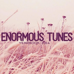 VA - Enormous Tunes: Yearbook 2014
