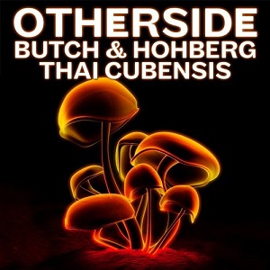 Butch & Hohberg  Thai Cubensis