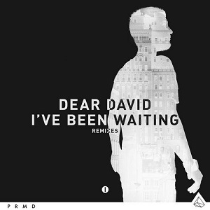 Dear David  Ive Been Waiting (The Remixes)