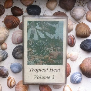 VA - Tropical Heat Volume 3