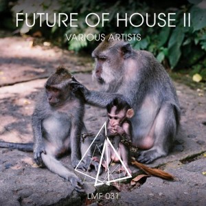 VA - Future of House II