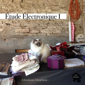 VA - Etude Electronique I (A French Way Of Deep House)  