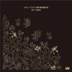 Jamie Stevens - The Healing - EP