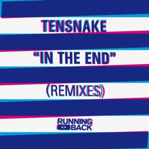 Tensnake  In The End (Remixes)