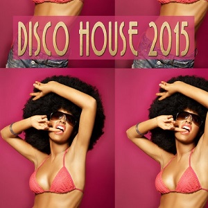 VA-Disco House 2015 (2015)