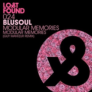 Blusoul  Modular Memories