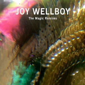 Joy Wellboy  The Magic Remixes