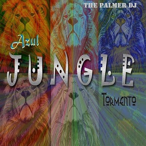 The Palmer Dj  Jungle