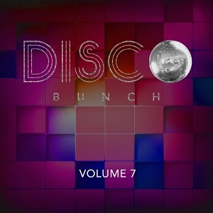 VA - Disco Bunch, Vol. 7