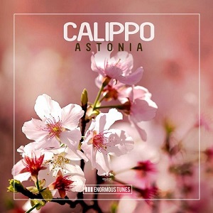 Calippo  Astonia
