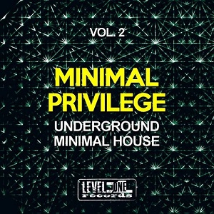 VA  Minimal Privilege Vol.2: Underground Minimal House (2016)