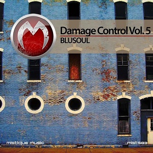 Blusoul: Damage Control, Vol. 5