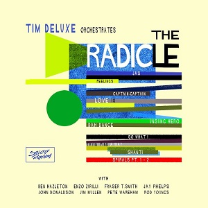 Tim Deluxe  The Radicle