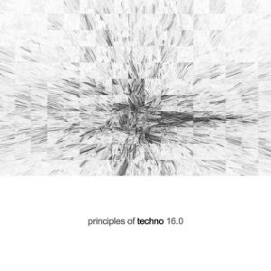 VA  Principles of Techno, Vol. 16 