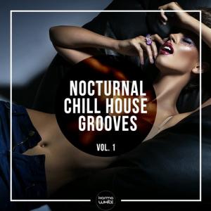VA  Nocturnal Chill Grooves, Vol. 1 (2016)