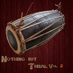 VA - Nothing But Tribal, Vol 2 (2016) 