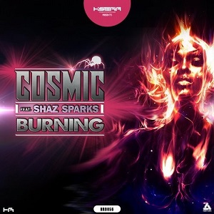 Cosmic Feat. Shaz Sparks  Burning