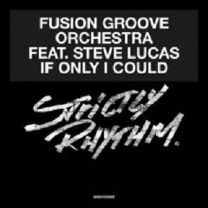 Fusion Groove Orchestra feat. Steve Lucas  If Only I Could 