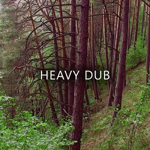 va - Heavy Dub