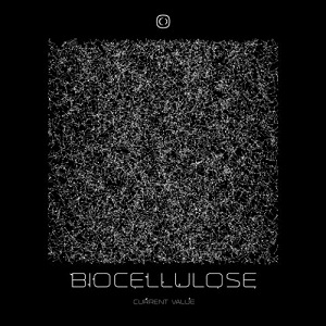 Current Value  Biocellulose 