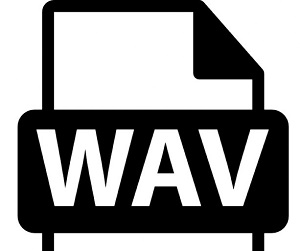 WAV Collection Beatport promo 2016