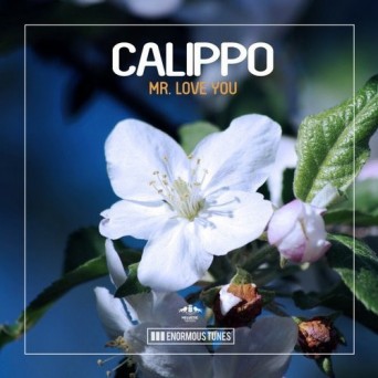 Calippo  Mr. Love You