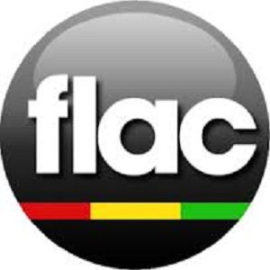 wav  flac Tracks New 49