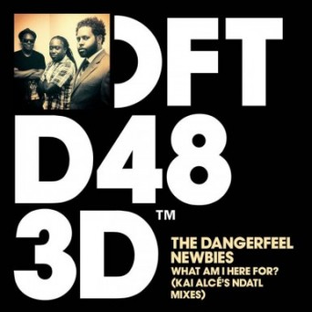 The DangerFeel Newbies  What Am I Here For (Kai Alc&#233;s NDATL Remixes)