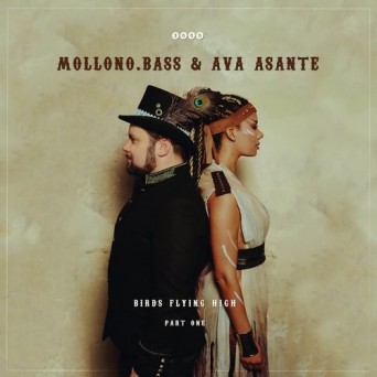 Ava Asante & Mollono.bass  Birds Flying High  Part 1