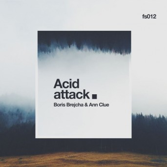 Ann Clue & Boris Brejcha  Acid Attack