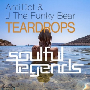 Anti.Dot, J The Funky Bear - Teardrops wav