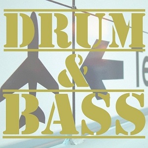 Drum & Bass Hits, Vol. 12 (2016) 