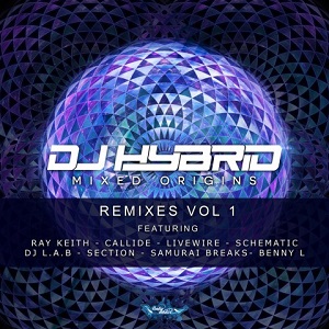 DJ Hybrid  Mixed Origins Remixes Vol. 1