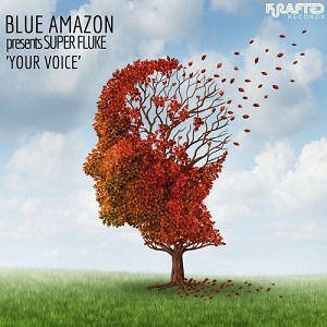 Blue Amazon, Zak Gee  Blue Amazon Presents Super Fluke  Your Voice 2016