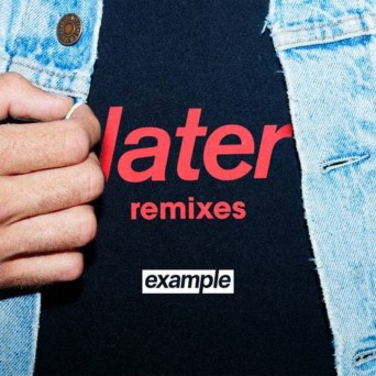 Example  Later (Remixes)