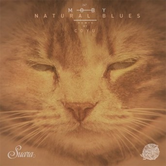 Moby  Natural Blues (Coyu Remix) 2016 + WAV