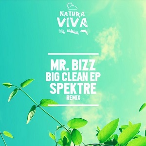 Mr. Bizz  Big Clean Ep