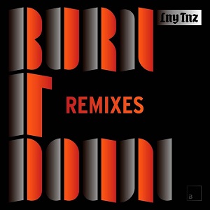 LNY TNZ -  Burn It Down Remixes [EP] (2017)