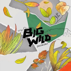 Big Wild - Invincible [EP] (2017)